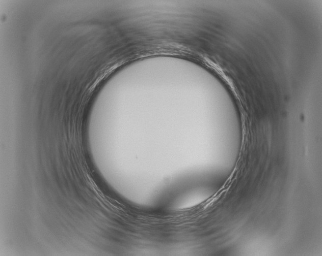 X0000059800154200510210905