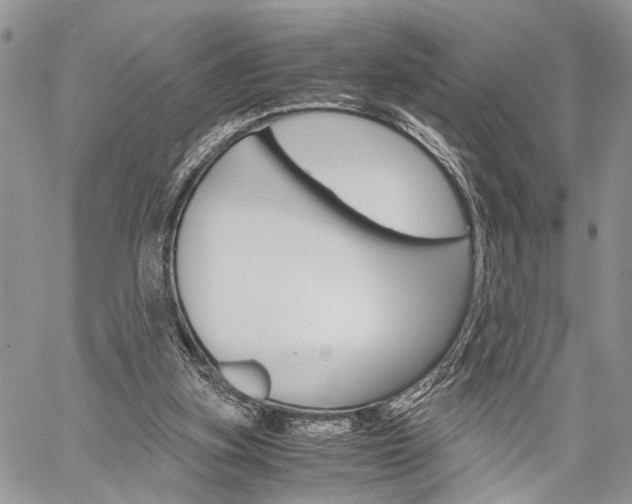 X0000059800155200510210905