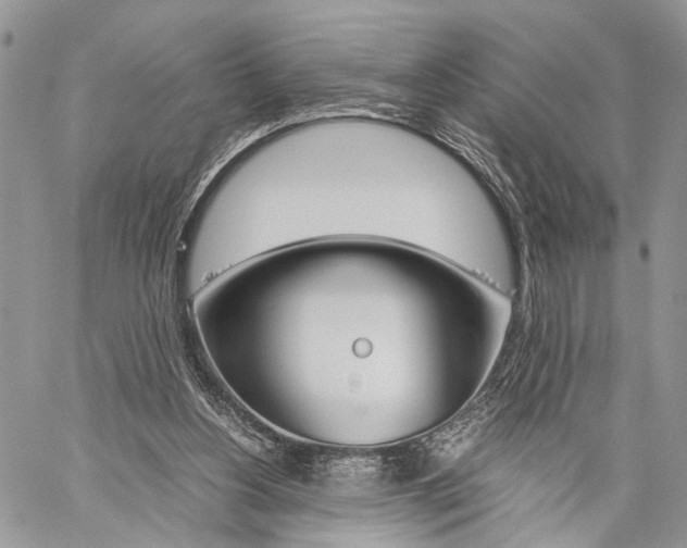 X0000059800156200510210905