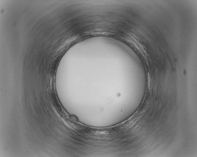 X0000059800157200510210905