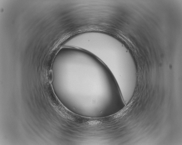 X0000059800158200510210905