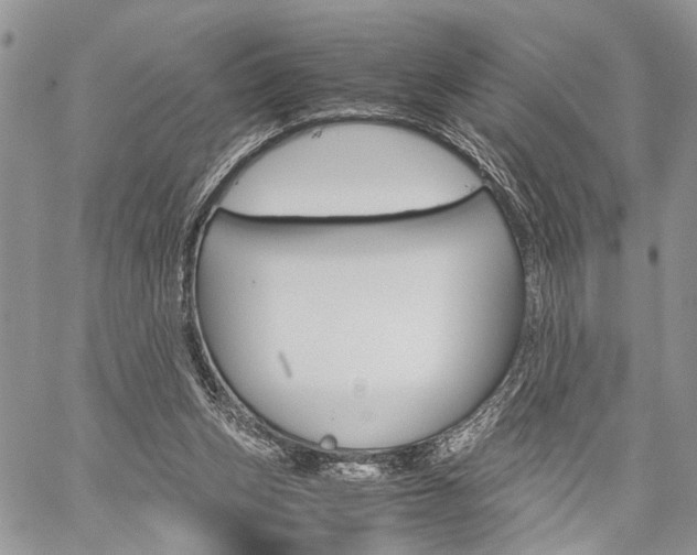 X0000059800159200510210905