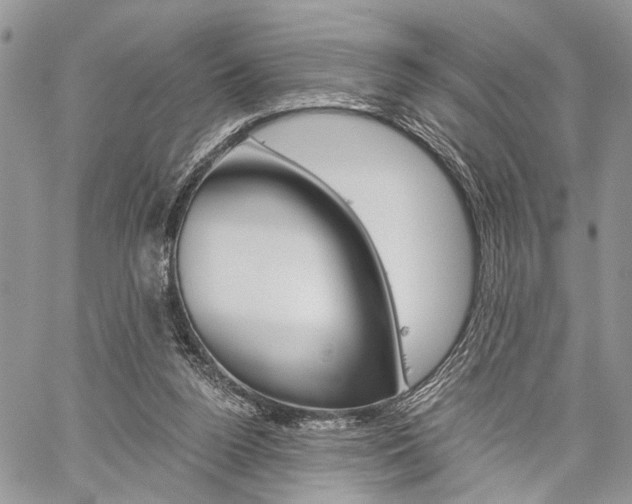 X0000059800160200510210906