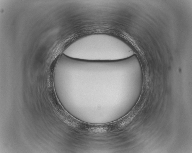 X0000059800161200510210906