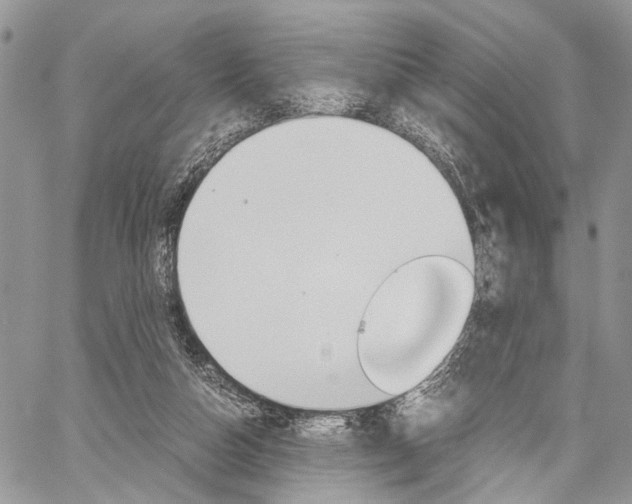 X0000059800162200510210906