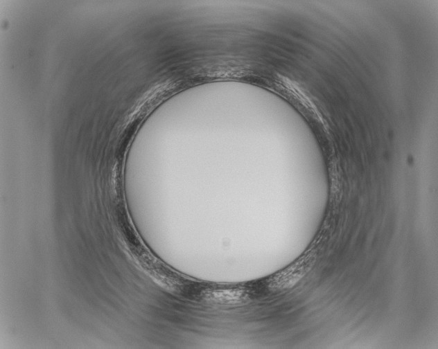 X0000059800163200510210906