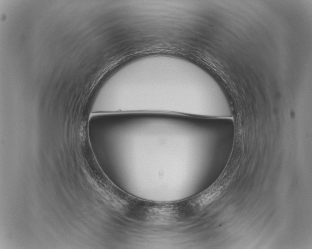 X0000059800164200510210906