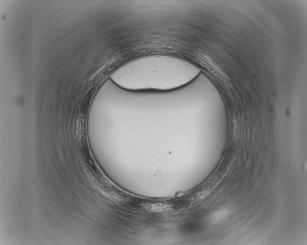 X0000059800165200510210906