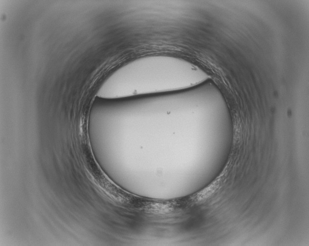 X0000059800166200510210906