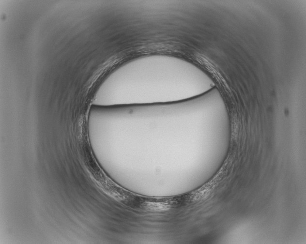 X0000059800167200510210906