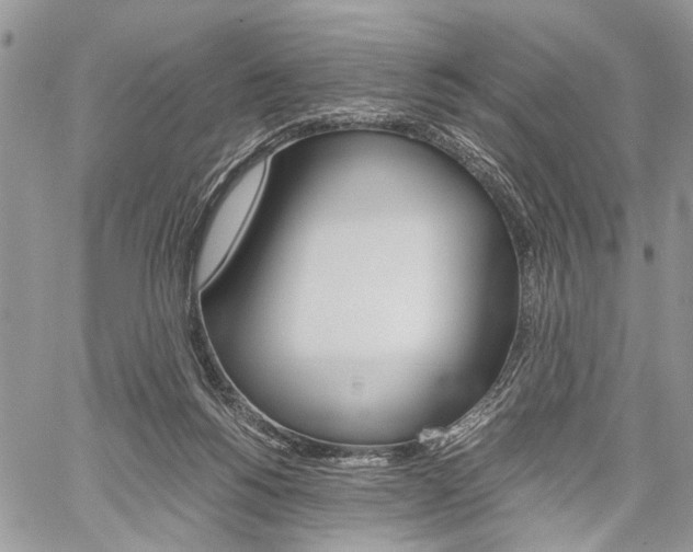 X0000059800168200510210906