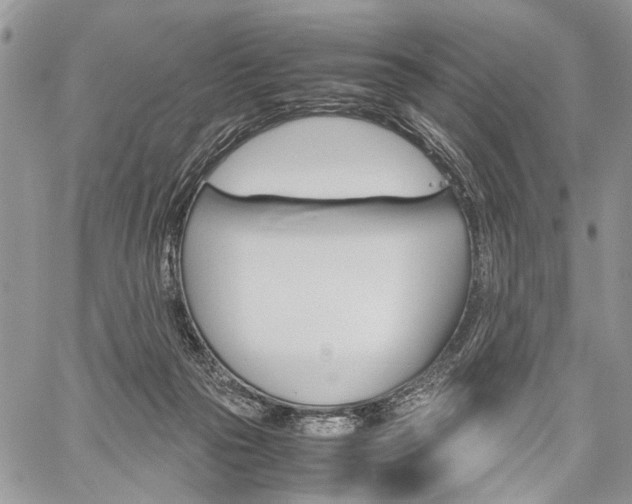 X0000059800169200510210906