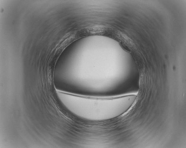 X0000059800170200510210906