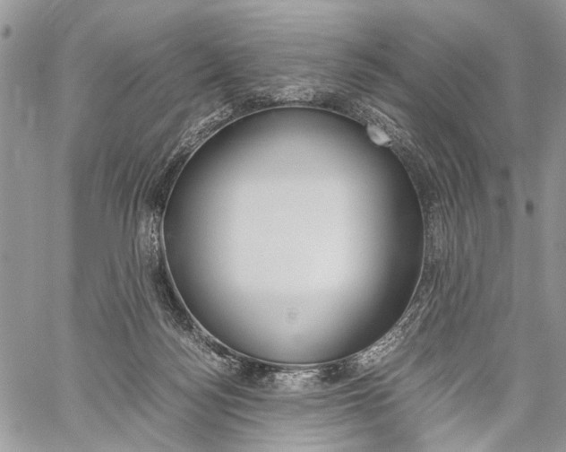 X0000059800172200510210906