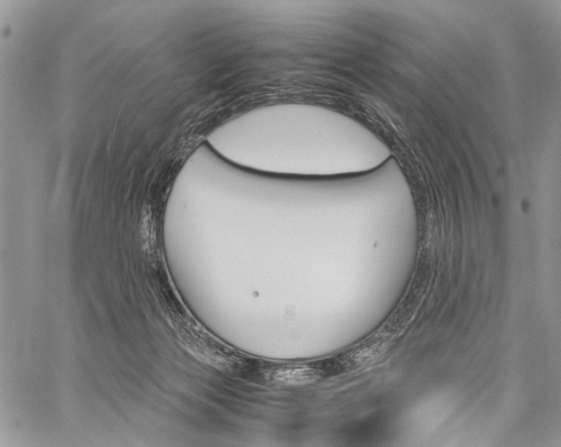 X0000059800173200510210906