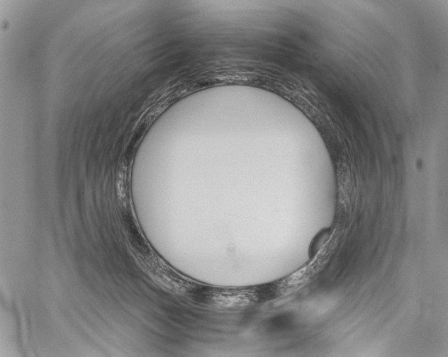 X0000059800175200510210906