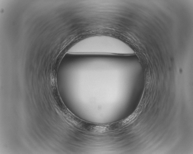 X0000059800176200510210906