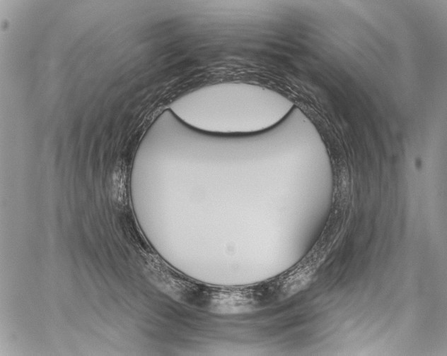 X0000059800177200510210906