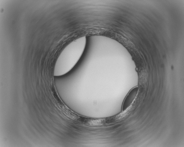 X0000059800178200510210906