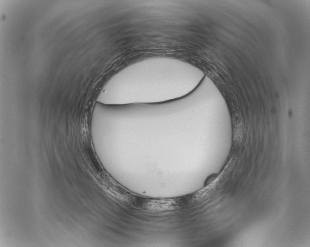 X0000059800179200510210906