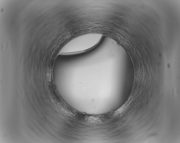 X0000059800180200510210906