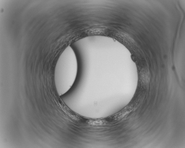 X0000059800181200510210906