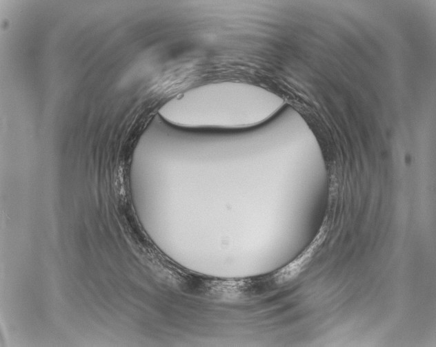 X0000059800182200510210906