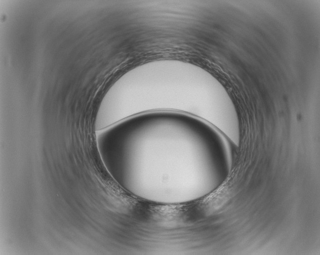 X0000059800184200510210906