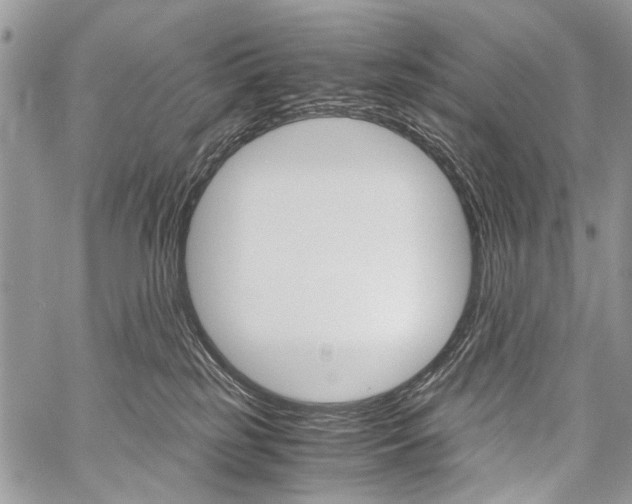 X0000059800185200510210906