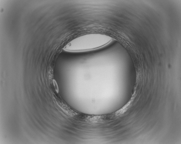 X0000059800186200510210906