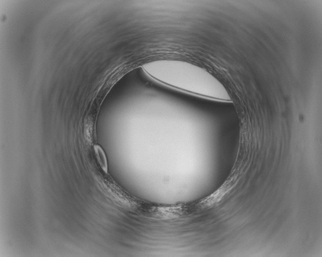 X0000059800188200510210906