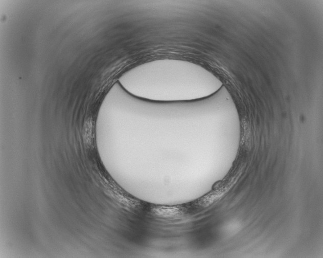 X0000059800189200510210906