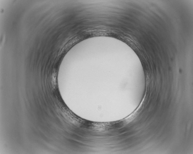 X0000059800190200510210906