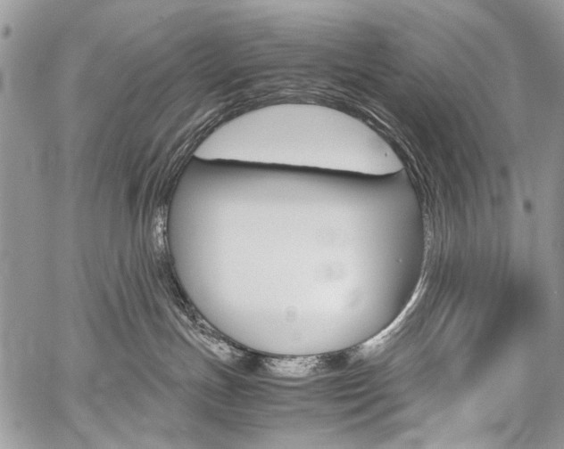 X0000059800191200510210906