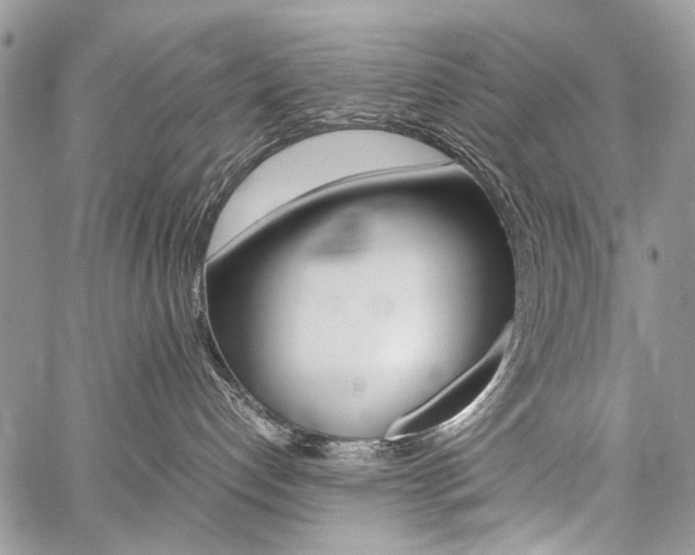 X0000059800192200510210906