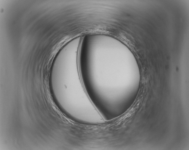 X0000059800193200510210905