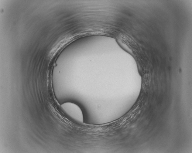 X0000059800194200510210905