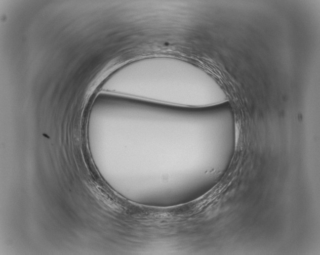 X0000059800195200510210905