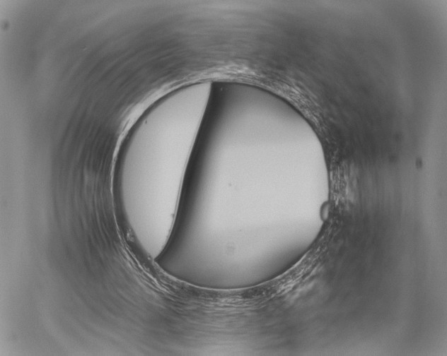 X0000059800196200510210905