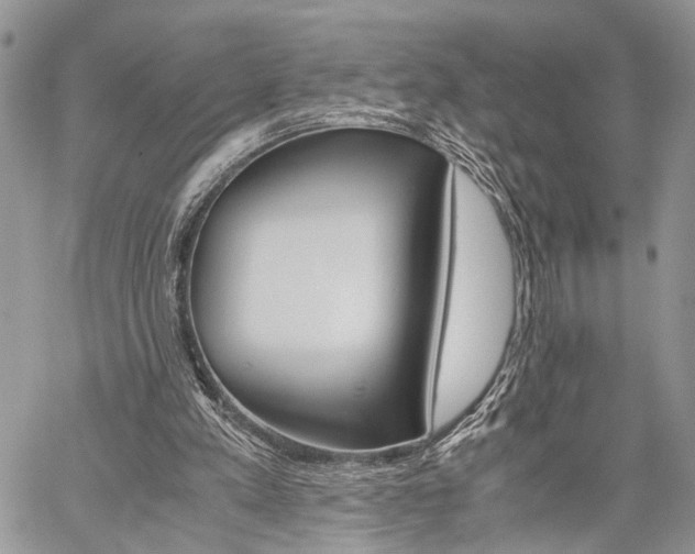 X0000059800197200510210905