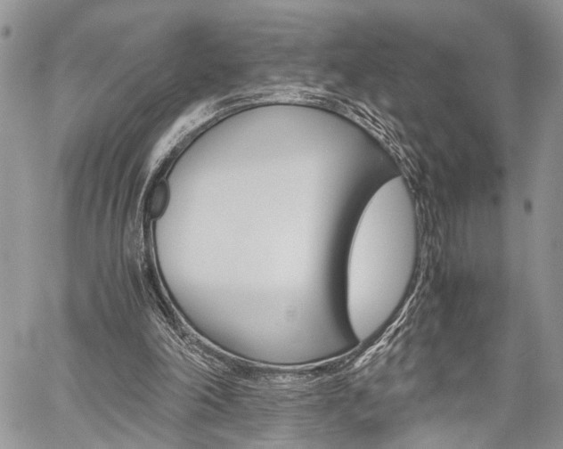 X0000059800198200510210905