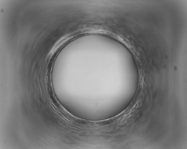 X0000059800199200510210905