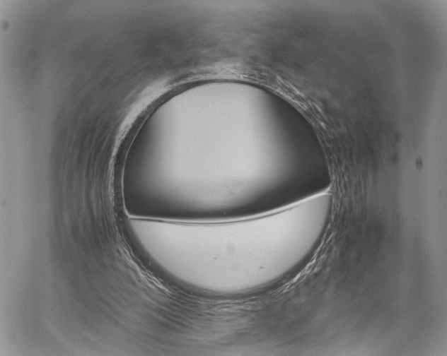 X0000059800200200510210905