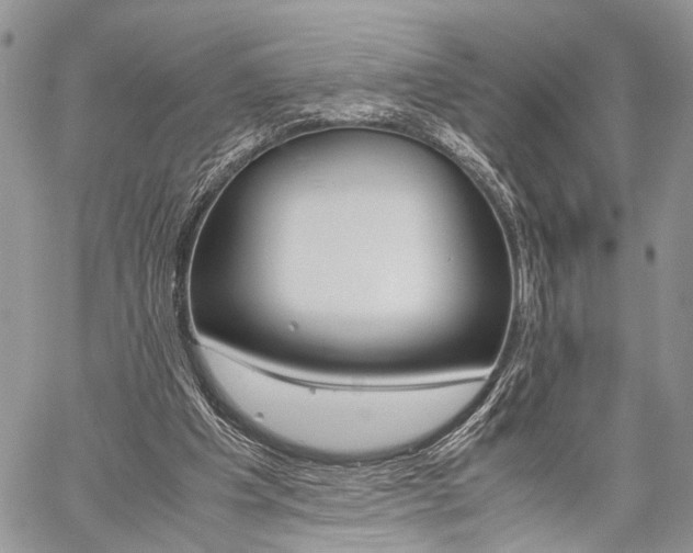 X0000059800201200510210905