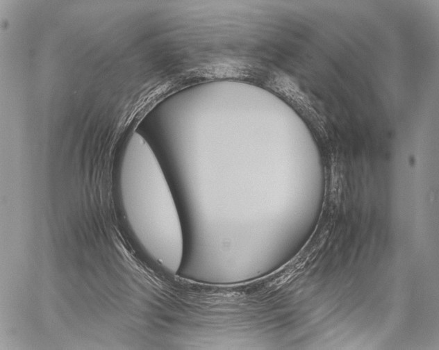 X0000059800202200510210905