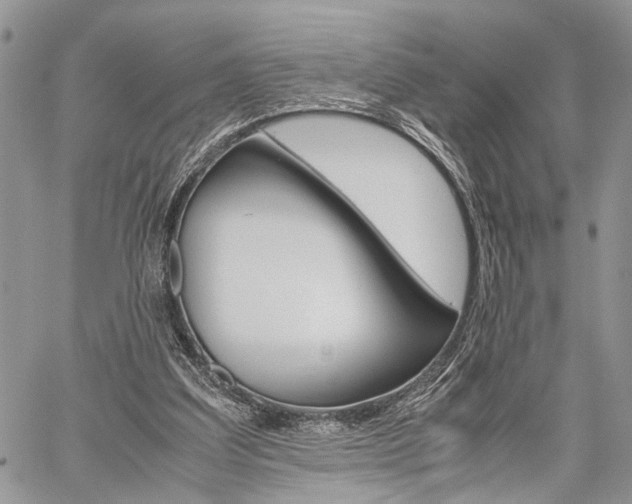 X0000059800203200510210905