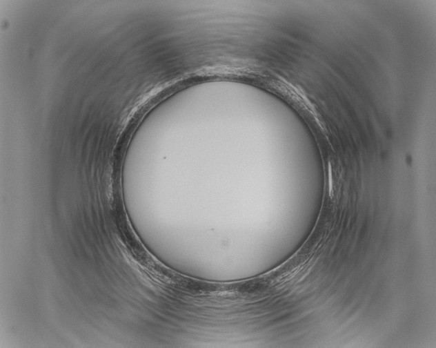 X0000059800204200510210905