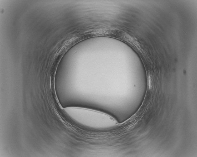 X0000059800205200510210905