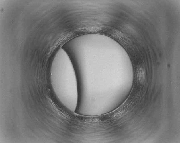 X0000059800206200510210905