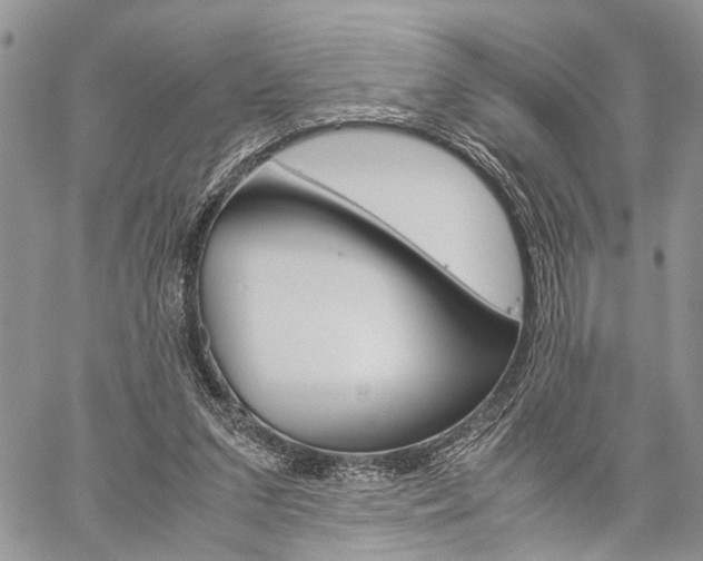 X0000059800207200510210905